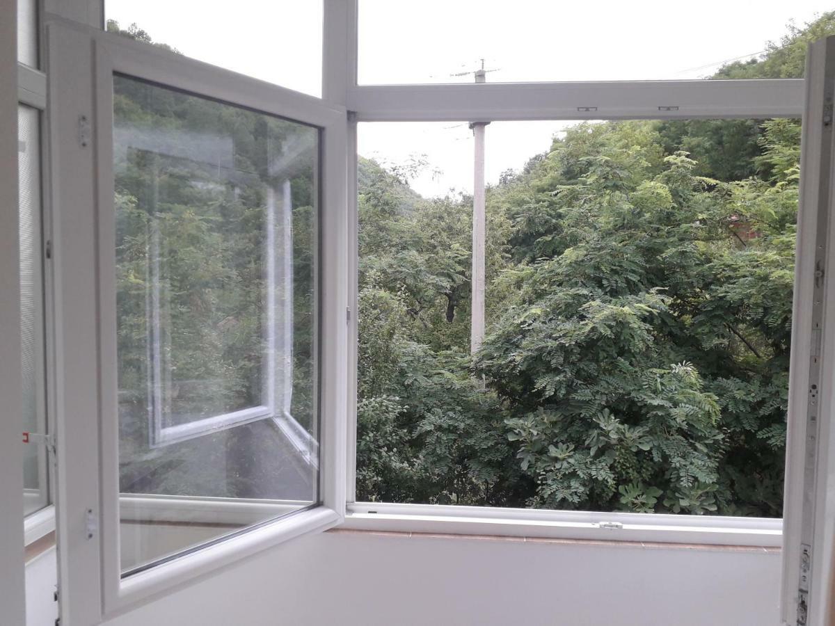 Apartmán Adrya Orşova Exteriér fotografie